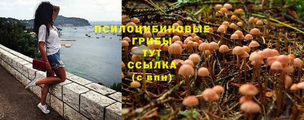 ALPHA-PVP Дмитриев
