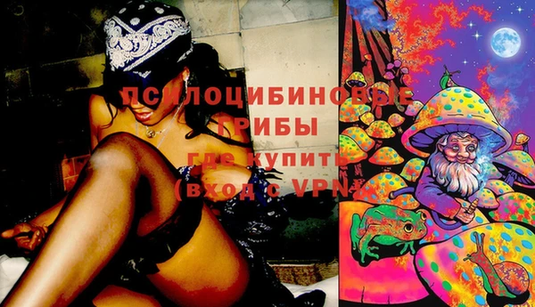 марихуана Дмитровск