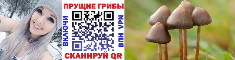 Галлюциногенные грибы Cubensis  Купить где  Красноуфимск 
